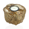Madagascar Petrified Wood Stump Candle Holder - Single Glass Tealight with Contour Polish