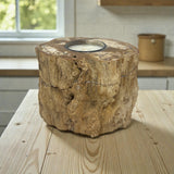 Madagascar Petrified Wood Stump Candle Holder - Single Glass Tealight with Contour Polish