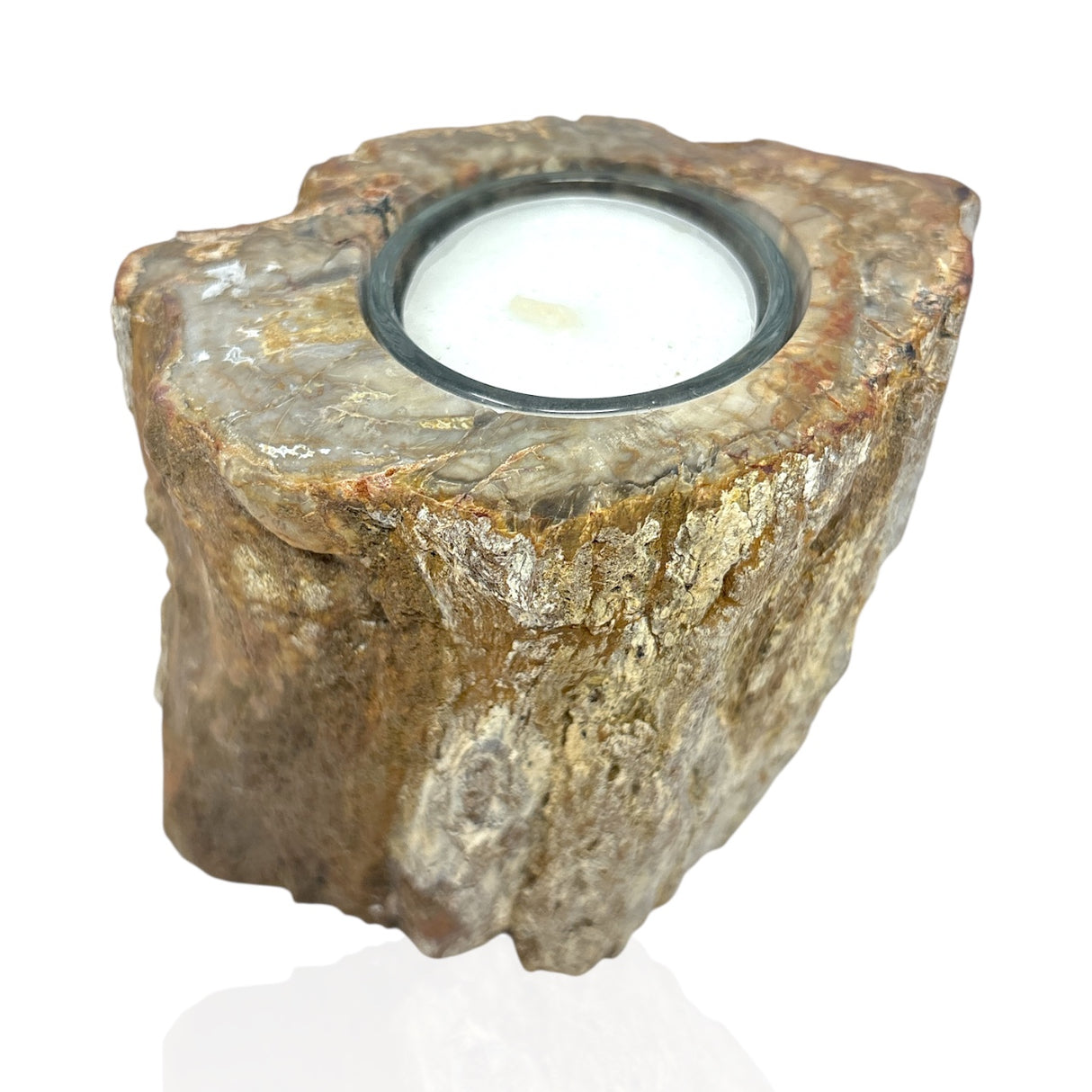 Madagascar Petrified Wood Stump Candle Holder - Single Glass Tealight with Contour Polish
