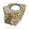 Madagascar Petrified Wood Stump Candle Holder - Single Glass Tealight with Contour Polish