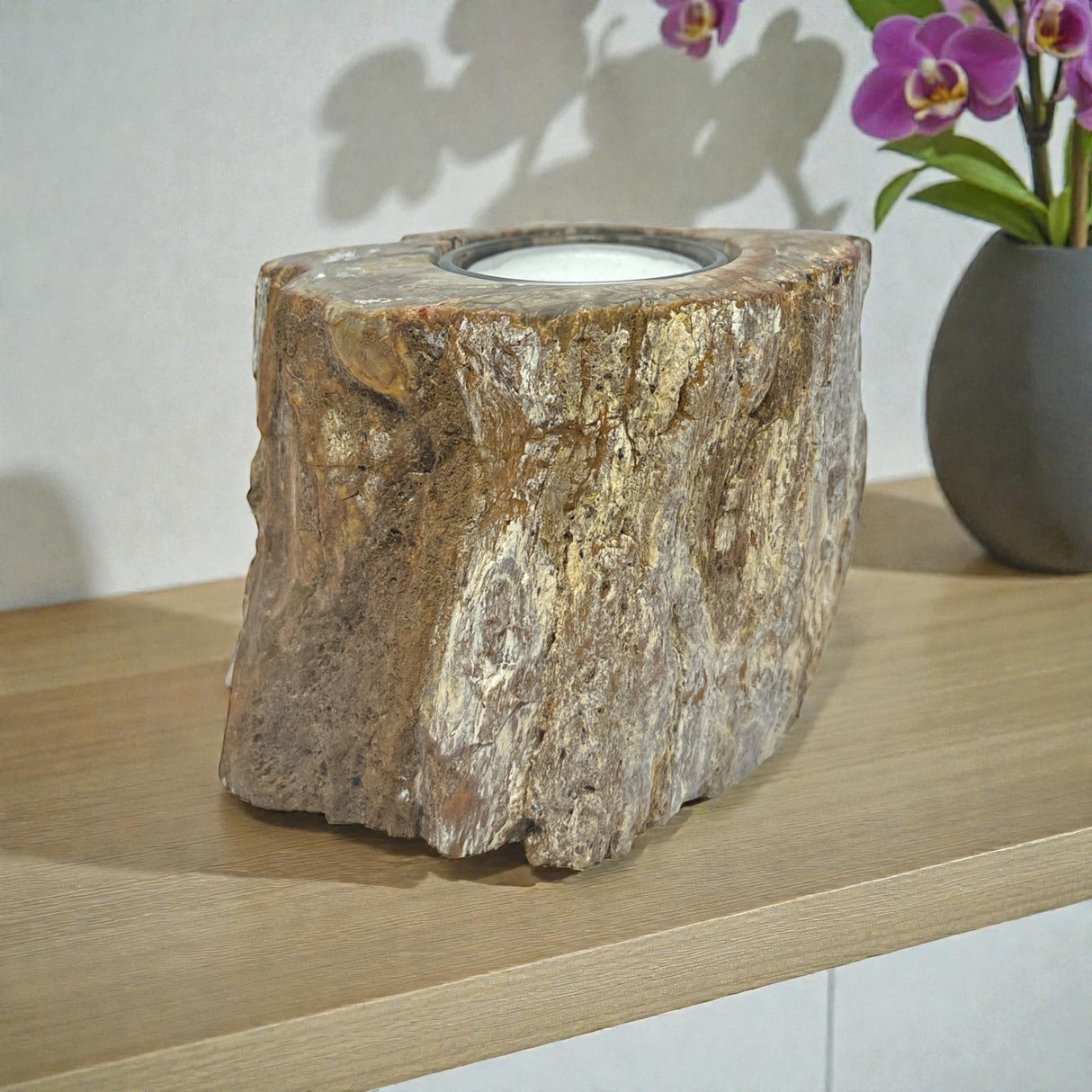 Madagascar Petrified Wood Stump Candle Holder - Single Glass Tealight with Contour Polish