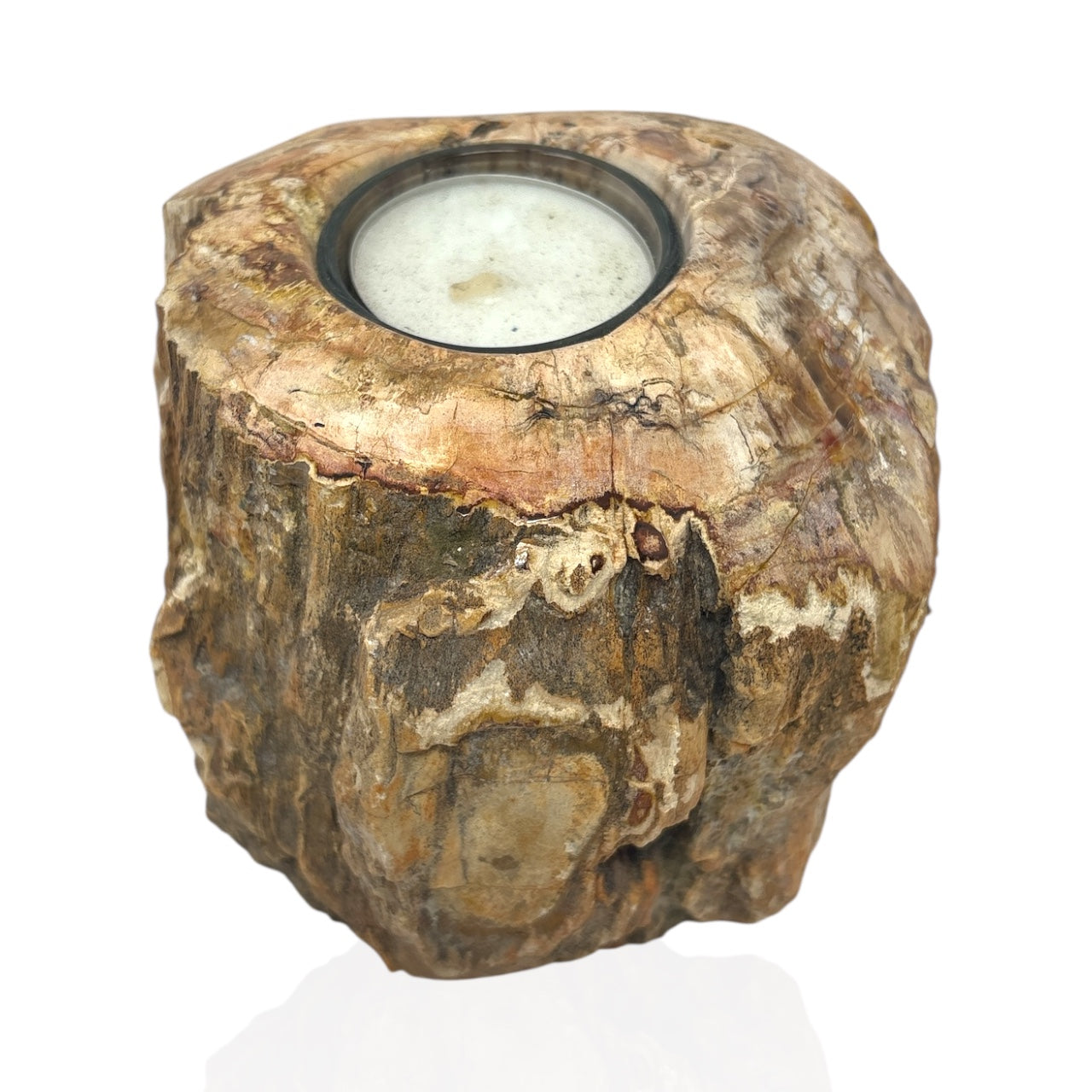 Madagascar Petrified Wood Stump Candle Holder - Single Glass Tealight with Contour Polish