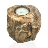 Madagascar Petrified Wood Stump Candle Holder - Single Glass Tealight with Contour Polish