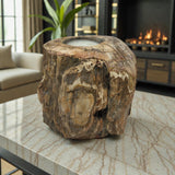 Madagascar Petrified Wood Stump Candle Holder - Single Glass Tealight with Contour Polish