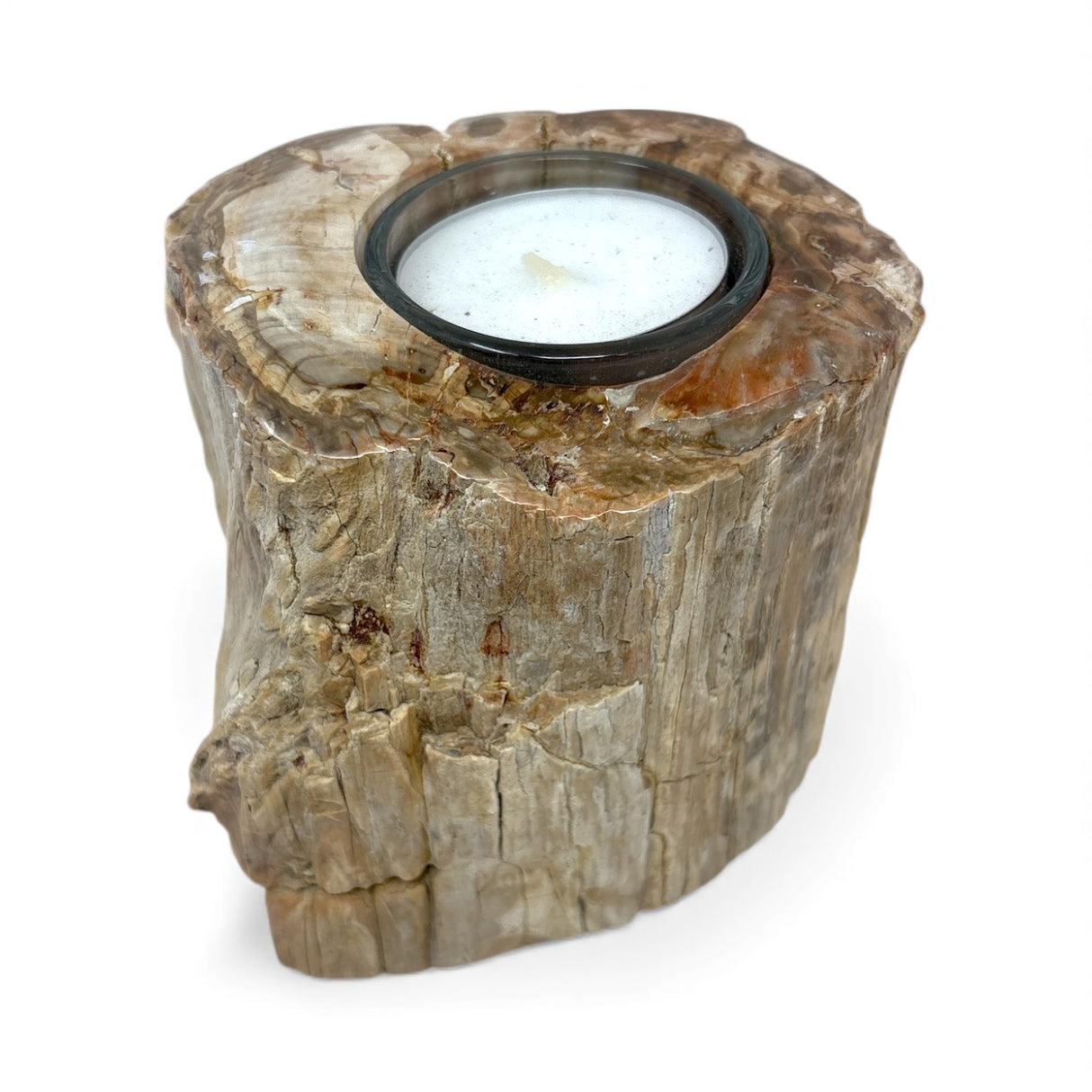 Madagascar Petrified Wood Stump Candle Holder - Single Glass Tealight with Contour Polish