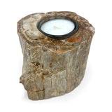 Madagascar Petrified Wood Stump Candle Holder - Single Glass Tealight with Contour Polish