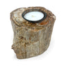 Madagascar Petrified Wood Stump Candle Holder - Single Glass Tealight with Contour Polish