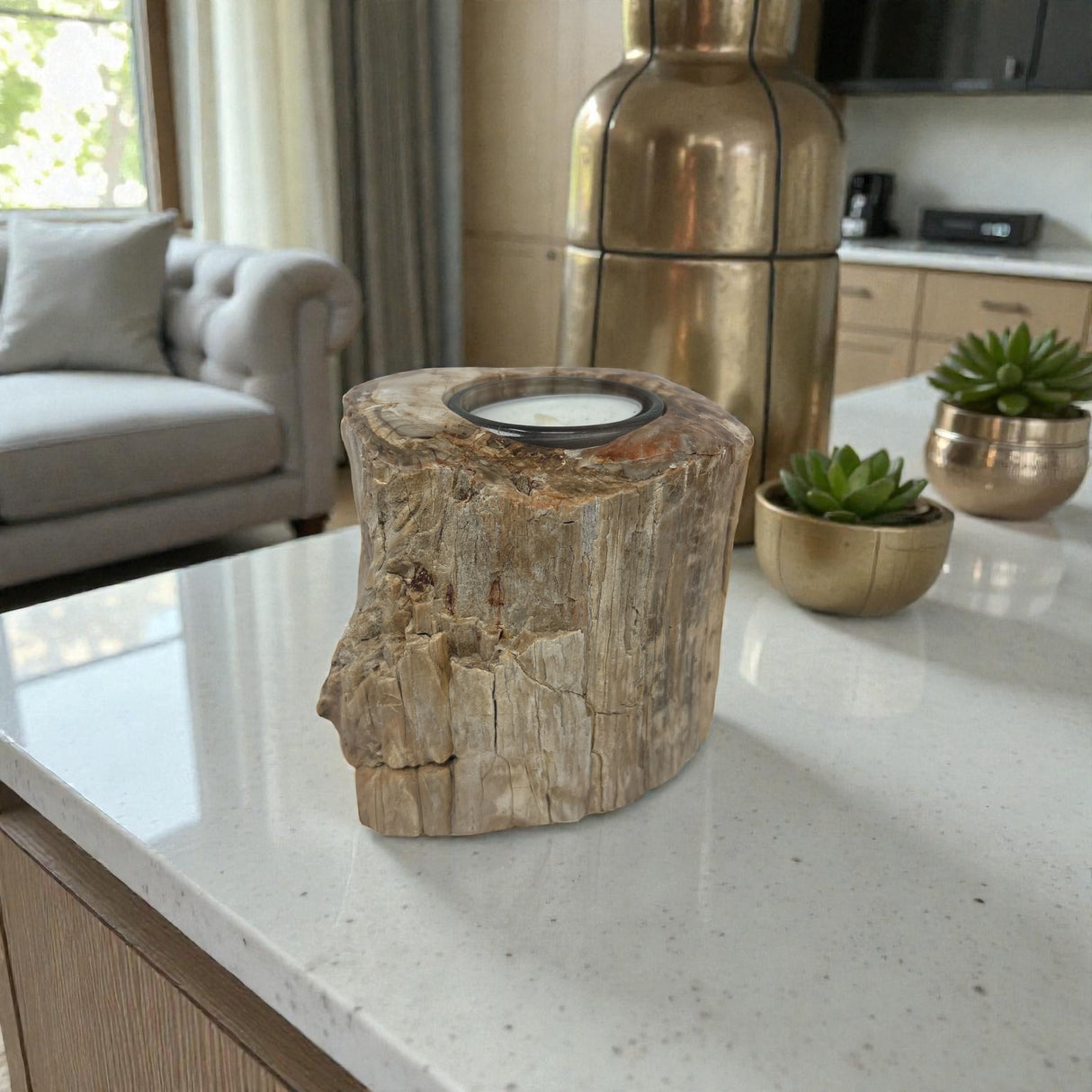 Madagascar Petrified Wood Stump Candle Holder - Single Glass Tealight with Contour Polish