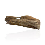 Madagascar Petrified Wood Log Candle Holder - Single Glass Tealight with Tapered End