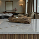 Madagascar Petrified Wood Log Candle Holder - Single Glass Tealight with Tapered End