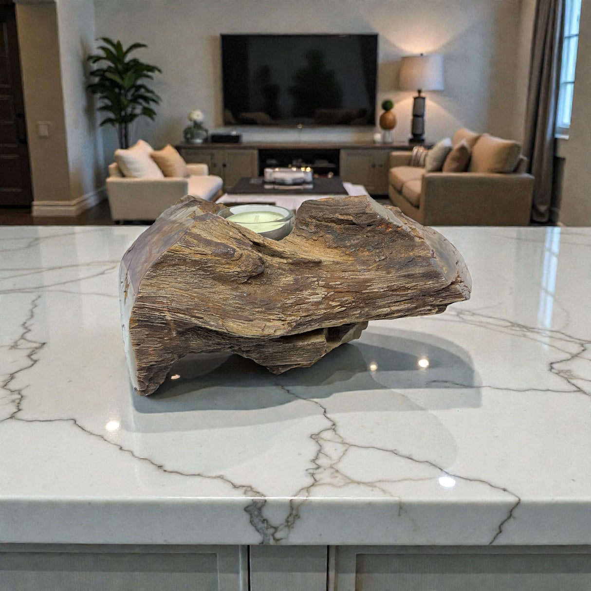 Madagascar Petrified Wood Log Candle Holder - Single Glass Tealight
