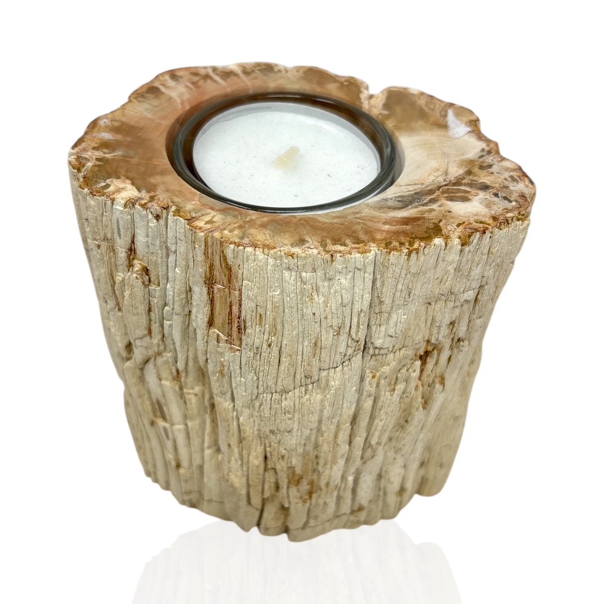 Madagascar Petrified Wood Stump Candle Holder - Single Glass Tealight