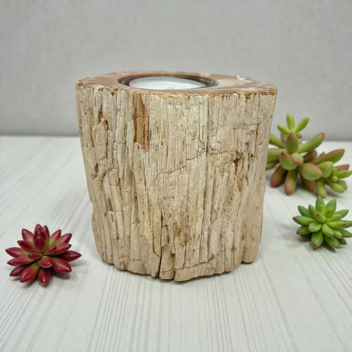Madagascar Petrified Wood Stump Candle Holder - Single Glass Tealight