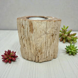 Madagascar Petrified Wood Stump Candle Holder - Single Glass Tealight