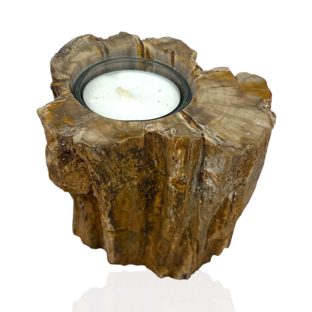 Madagascar Petrified Wood Stump Candle Holder - Single Glass Tealight
