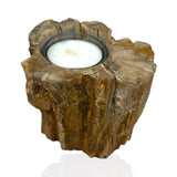 Madagascar Petrified Wood Stump Candle Holder - Single Glass Tealight