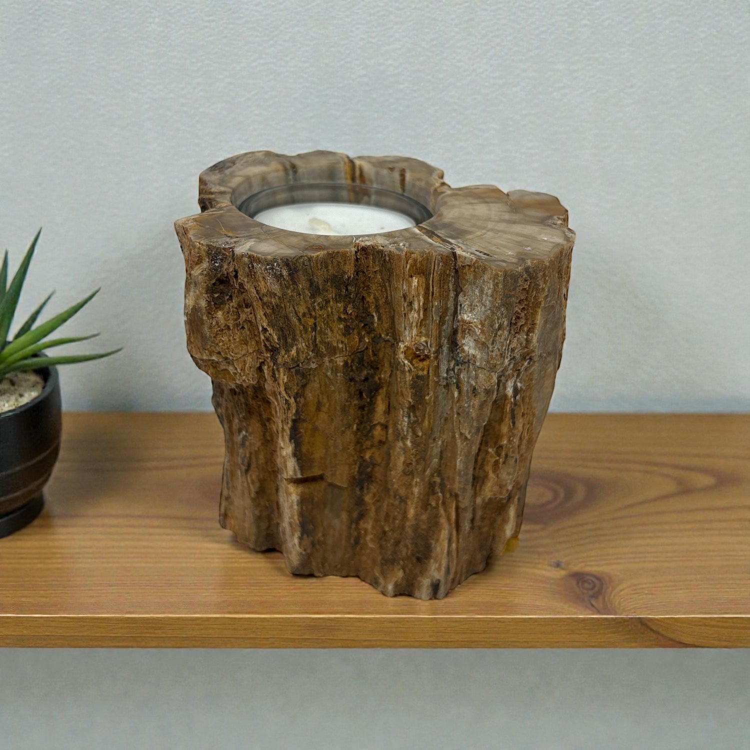 Madagascar Petrified Wood Stump Candle Holder - Single Glass Tealight