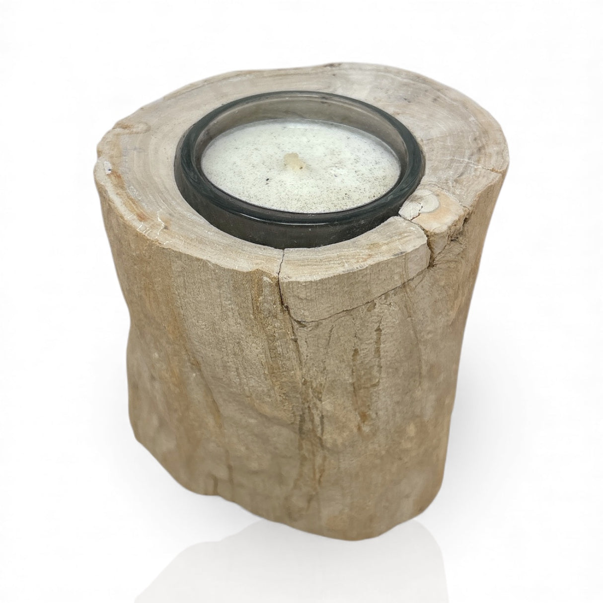 Madagascar Petrified Wood Stump Candle Holder - Single Glass Tealight with Beige Smooth Bark