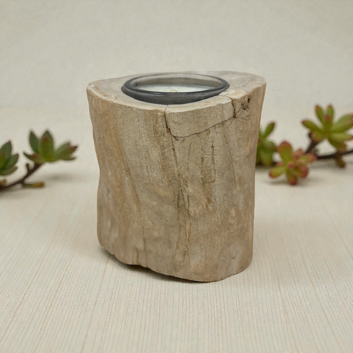 Madagascar Petrified Wood Stump Candle Holder - Single Glass Tealight with Beige Smooth Bark