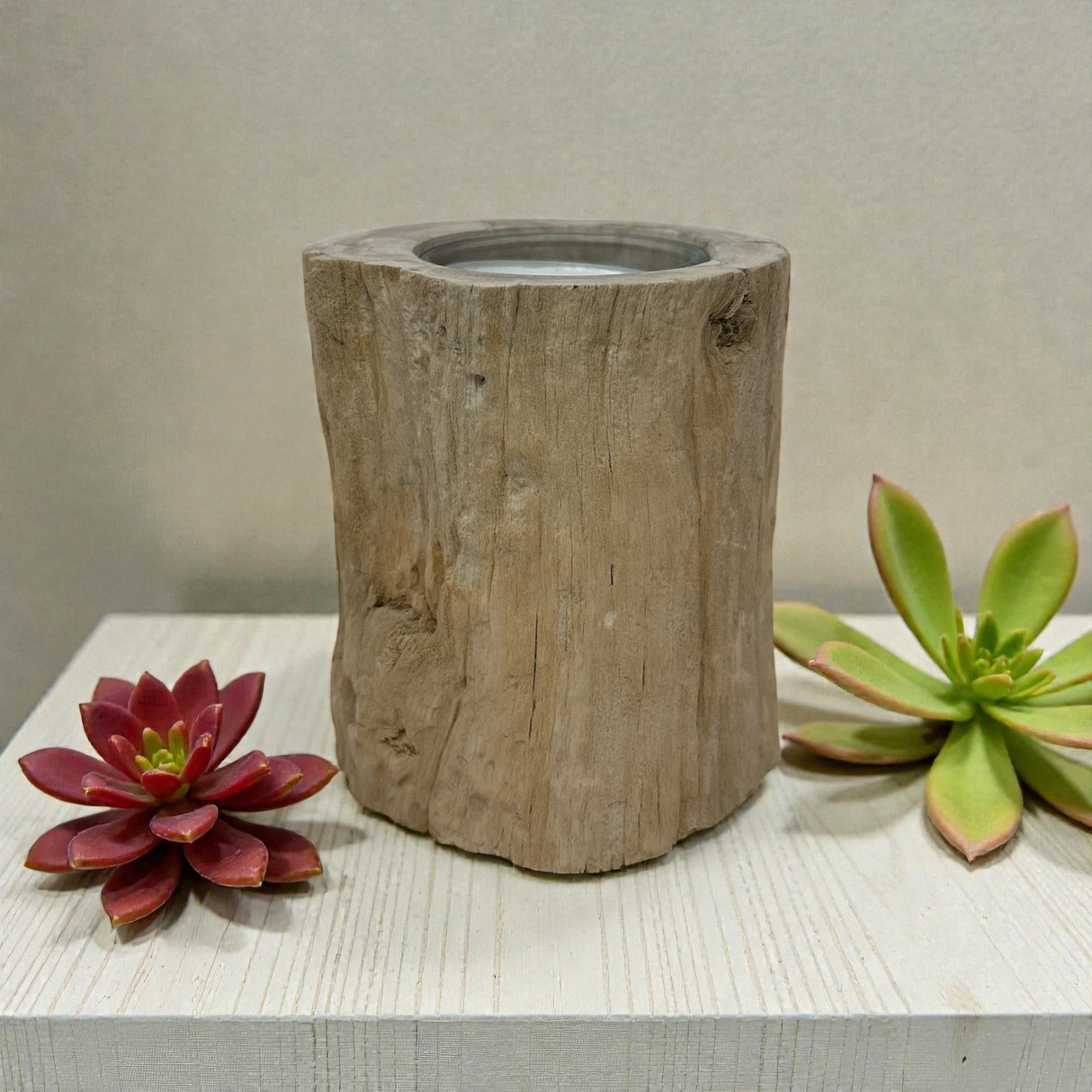 Madagascar Petrified Wood Stump Candle Holder - Single Glass Tealight with Beige Smooth Bark