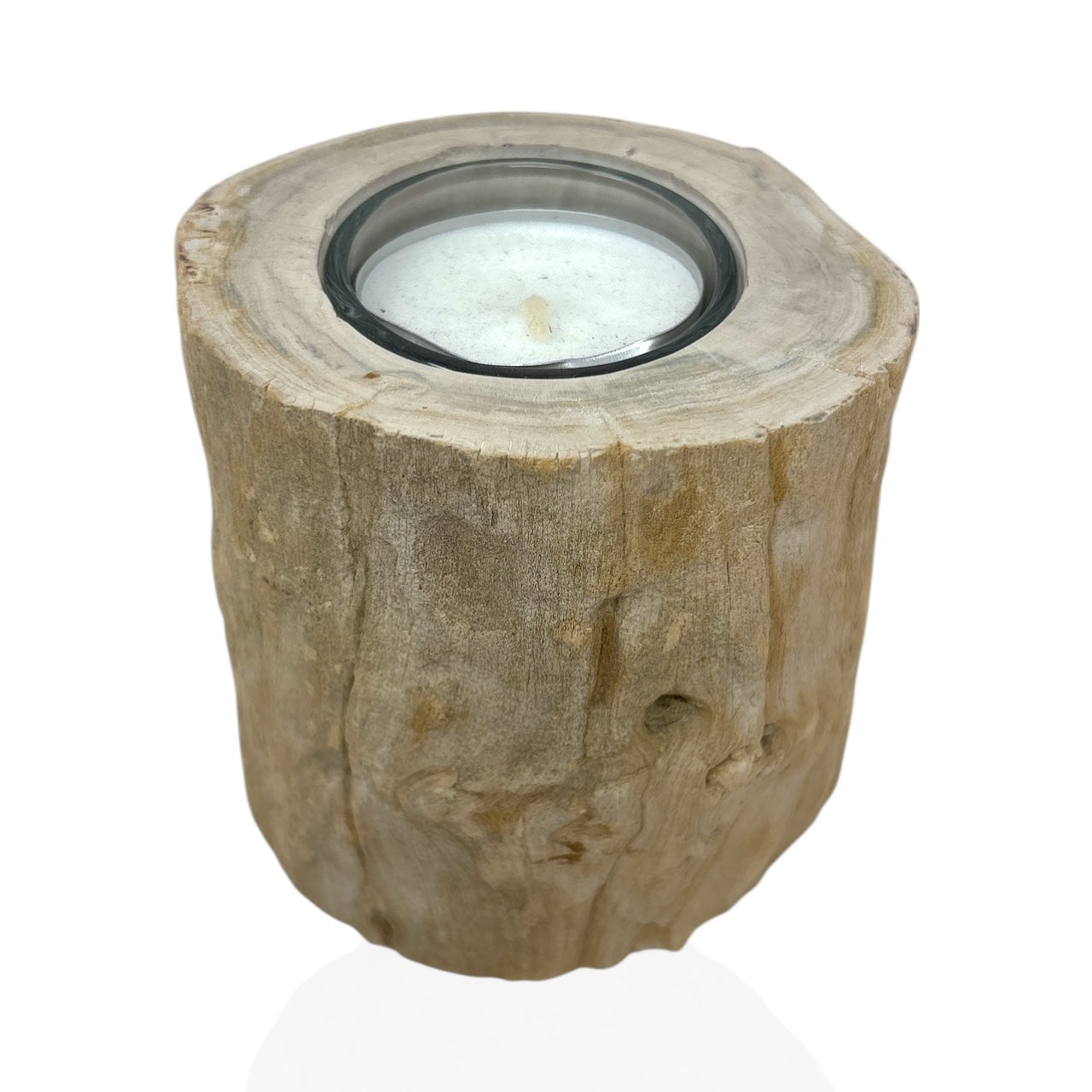 Madagascar Petrified Wood Stump Candle Holder - Single Glass Tealight with Beige Smooth Bark