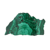 Malachite Slice - Single-side Polished with Fibrous Crystals