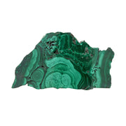 Single-side polished malachite slice with bullseye rings and a rough fibrous crystal crown on white
