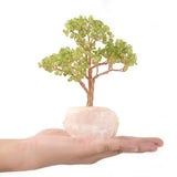 Peridot Copper Wire Beaded Tree of Life on Rose Quartz Base