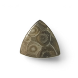 Rare Earth Gallery adjustable ring featuring a triangular fossilized coral stone with intricate natural patterns.