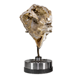 Agatized Fossilized Coral Head Half in Custom Starburst Stand