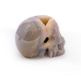Agate Geode Skull Carving With Druze Pocket