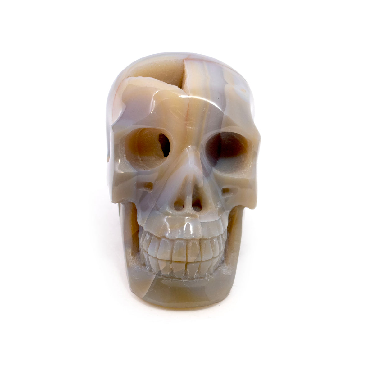 Agate Geode Skull Carving With Druze Pocket