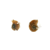 Ammonite Stud Earrings - Baby Pair