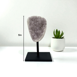 Amethyst Druze Polished Freeform Minis on Pin Stand - Small