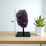 Amethyst Druze Polished Freeform Mini on Pin Stand - Medium