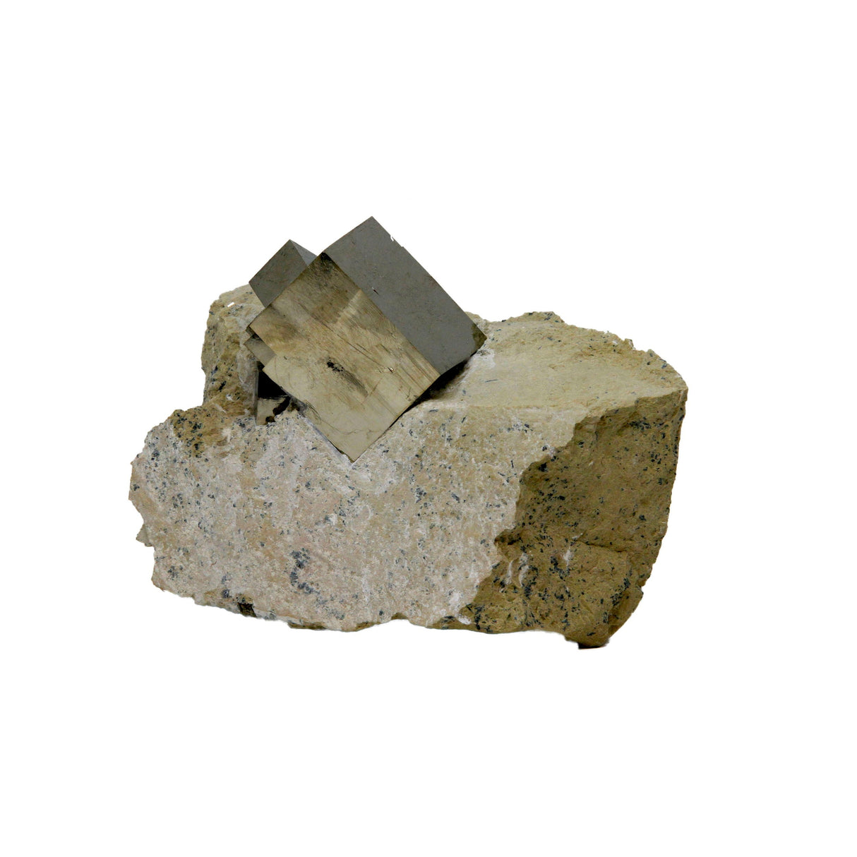 Cubic Pyrite Bonded Crystals in Matrix Set in Custom Patina Stand