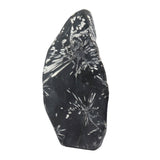 Large Chrysanthemum Stone
