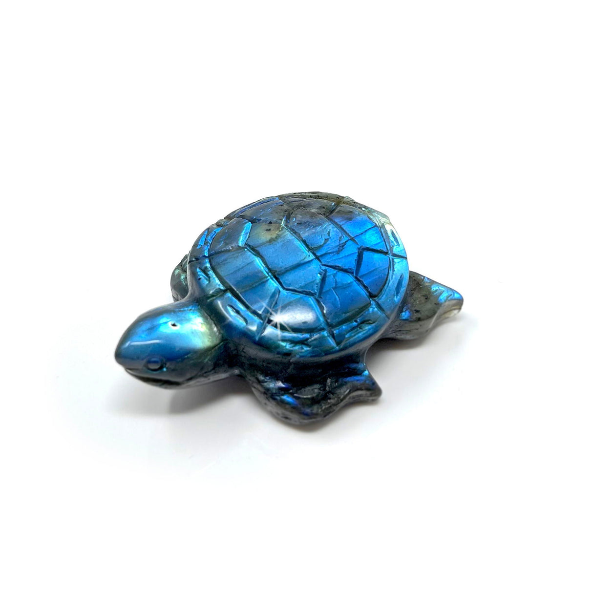 Labradorite Turtle Carving A+ Quality