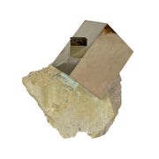 Large golden rectangular pyrite crystal bonded to a smaller cube atop cream limestone matrix
