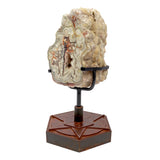 Laguna Lace Agate Geode on A Custom Patina Geometric Star Stand