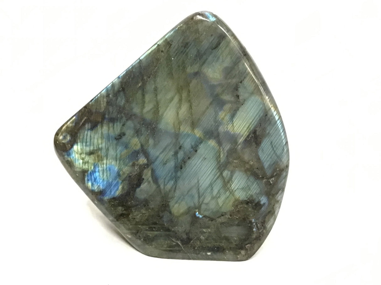 Labradorite forme libre polie avec base coupée de Madagascar