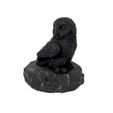 Shungite owl figurine on a stone base, three-quarter side view showing carved talons and wing detail