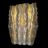 Rare Earth Gallery backlit Zebra Onyx diptych wall panels with irregular live-edge borders and flowing brown gold veins.
