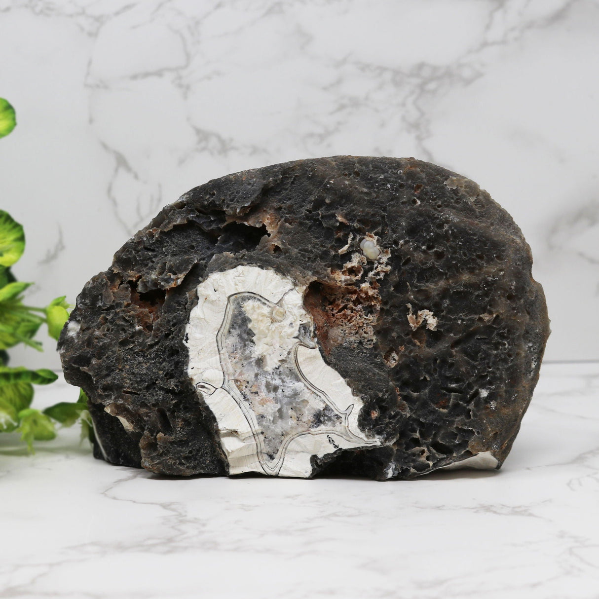 Agate Geode Cut Base with White Center- Blue & White Dots
