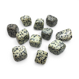 Rare Earth Gallery tumbled Dalmatian Jasper stones with characteristic black spots on a smooth cream-colored surface.