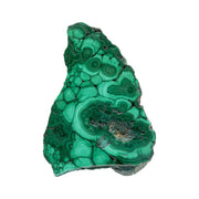 Polished banded malachite slice with two bullseye eyes in light and dark green rings on a white background