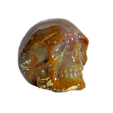Fossilized Coral Skull Small