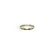 Rare Earth Gallery 2mm titanium ring with gold IP plating and a half-band of sparkling white cubic zirconia stones.