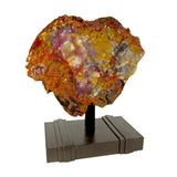Arizona Rainbow Petrified Wood Slice on Custom Stand - Purple Center on Golden Chocolate Brown Patina with Strap Design