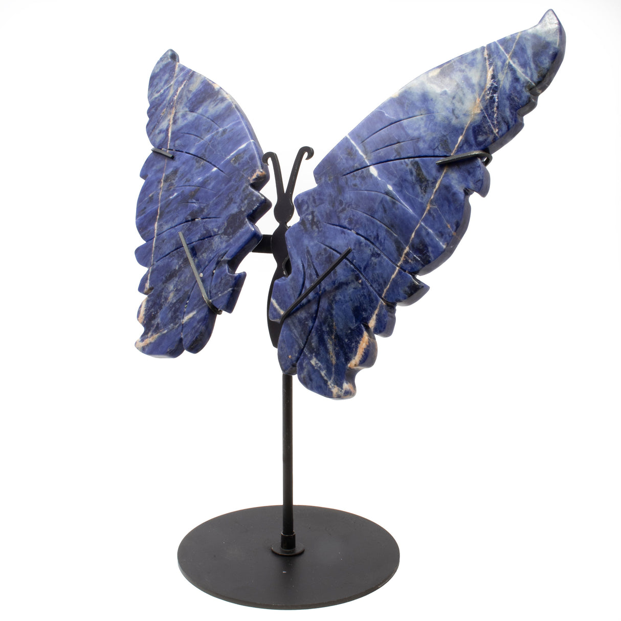 A+ Sodalite Butterfly Wings Carving with Stand